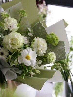Sắc Trắng Dịu Dàng